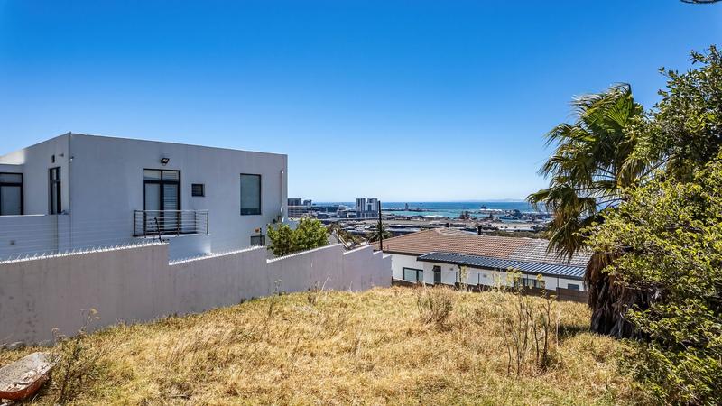 0 Bedroom Property for Sale in Walmer Estate Western Cape